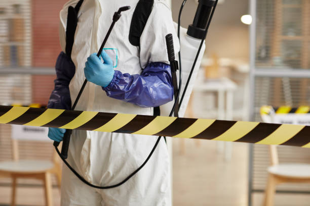 Professional Hoarding Cleanup technician working in Trenton, FL